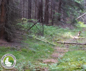 Park Narodowy Gór Stołowych - Tropy