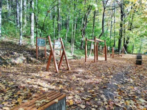 Ścieżka zdrowia Kudowa Park Linowy Kudowa